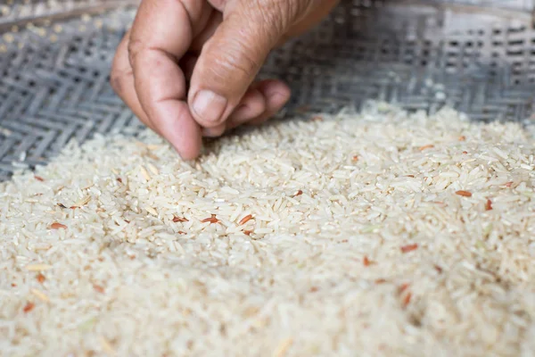 El Seç Paddy tahıl kahverengi pirinç dışarı kullanın.