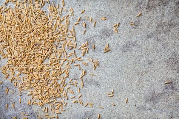 Paddy tahıl beton zemin.