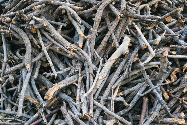 Yakacak odun ve çırpı, yere yerleştirilen grup.