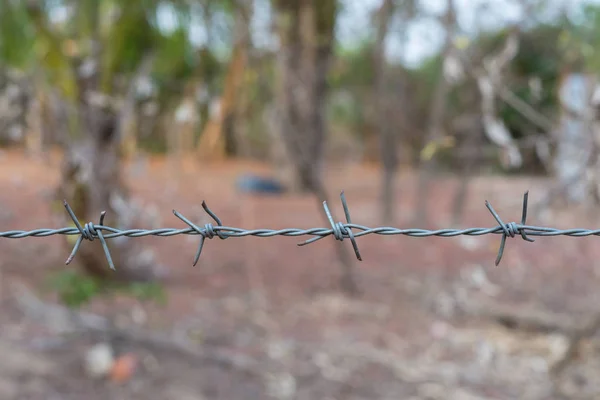 Gruptaki dikenli tel çit.