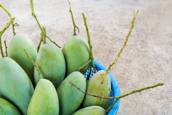 Yerde mavi sepet içinde taze yeşil mango.