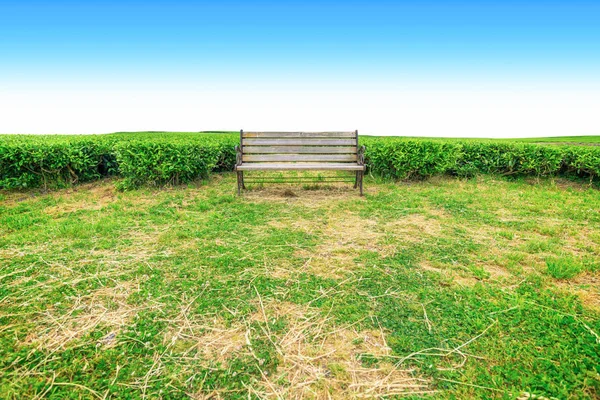 Lavička Čaje Farmu Kopci Jasný Den Čaj Plantáž Ostrově Jeju — Stock fotografie