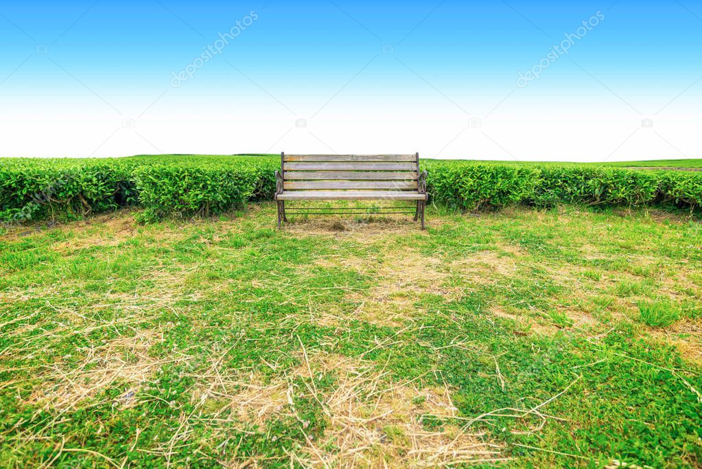 Bench in Tea farm on the hill in a clear day, tea plantation on Jeju Island.