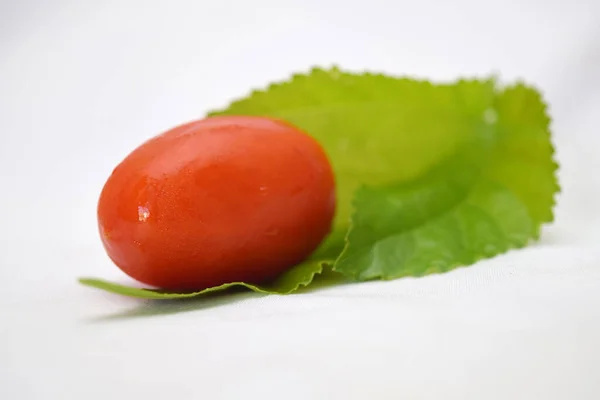 Tomato Grean Leaf — Stock Photo, Image