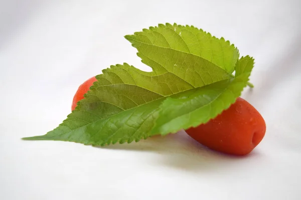 Tomaten Mit Grünem Blatt Auf Weißem — Stockfoto