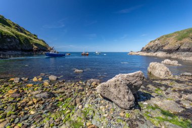 Martins Haven, İngiltere - 28 Haziran 2018: Görünüm Martin's Haven, Pembrokshire Galler Skomer adası'na teknelerle.