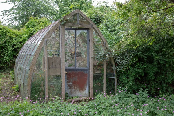 Vieille Serre Décomposition Avec Cadre Béton — Photo