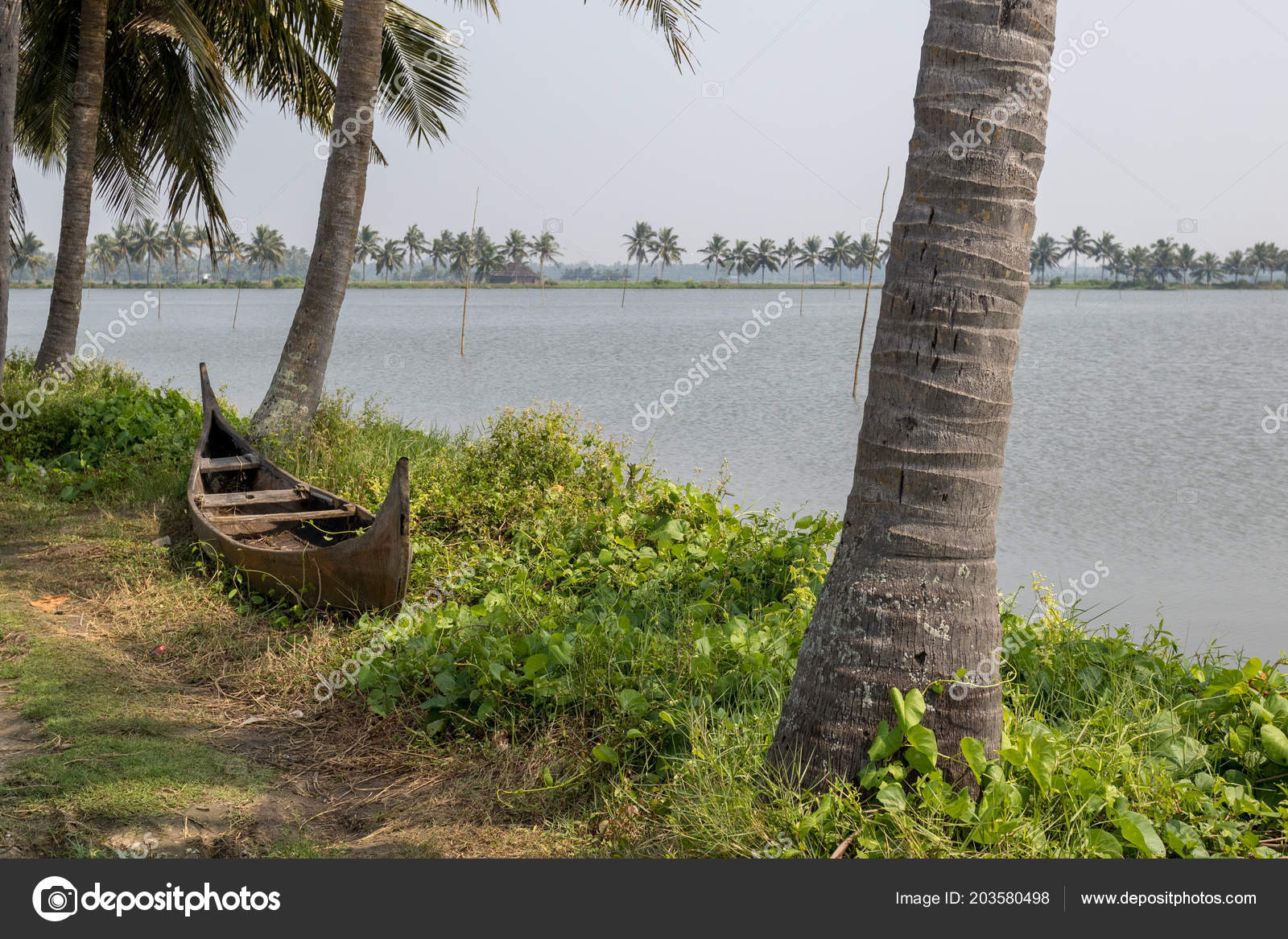 Fishing nets in the backwaters of Kerala