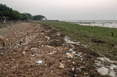 Çevre sorunu, Kochi, Güney Hindistan Beach'te plastik büyük miktarda atık
