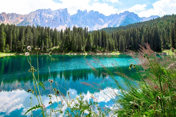 Schöner Blick Auf Den Karersee Italienisch Lago Carezza Ist Ein — Stockfoto