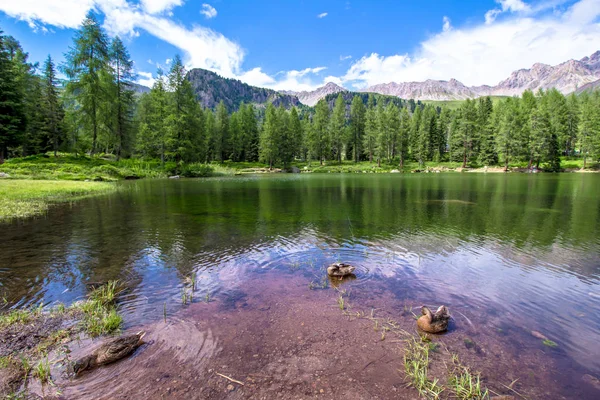 サンペレグリノ湖 San Pellegrino Lake San Pellegrino Pass イタリアのドロミテ山脈の高い峠 — ストック写真