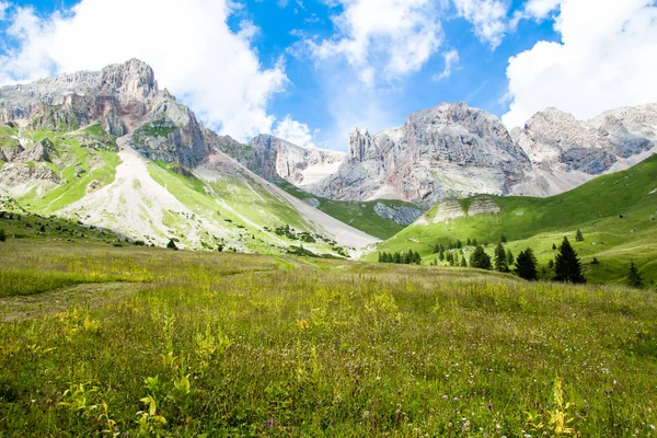 Vallée Fuciade Col San Pellegrino Dans Les Dolomites Italiennes — Photo