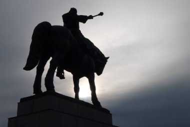 Zizka gökyüzüne bakıyor.