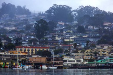 Kaliforniya'nın Moro Körfezi