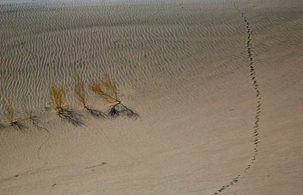 Ölüm Vadisi'nin Eureka Tepeleri