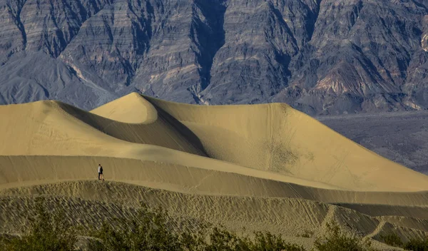 Las dunas del Mesquite de Death Valley — Foto de Stock