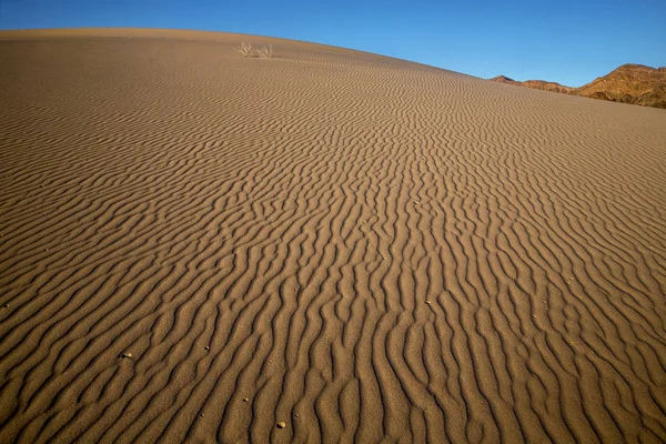 Ibex Dunes — Stock Photo, Image