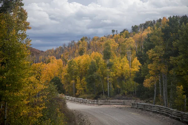 Kolob Terrace höst — Stockfoto