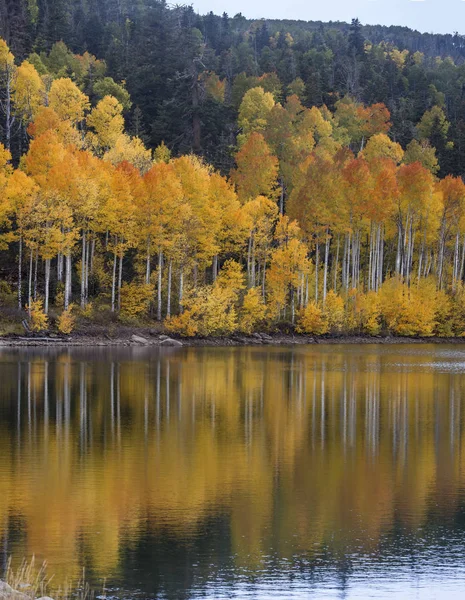 Kolob Reservoir Autumn Reflection — Stock Photo, Image