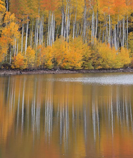 Kolob embalse de reflexión de otoño — Foto de Stock