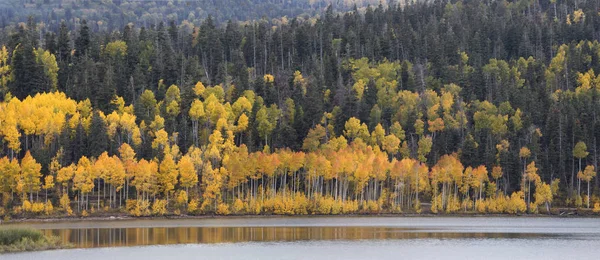 Kolob Rezervuar Sonbahar Yansıması