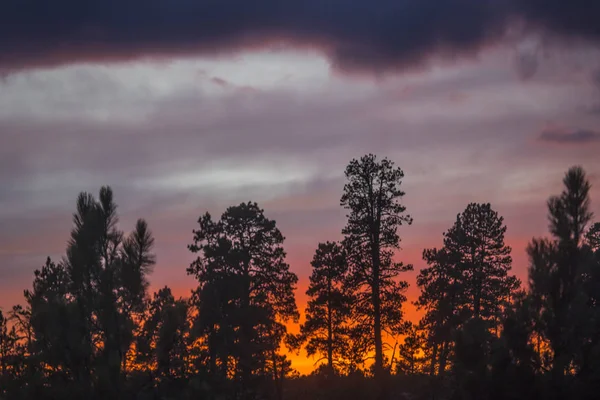 Zion Sunset — Stock Photo, Image