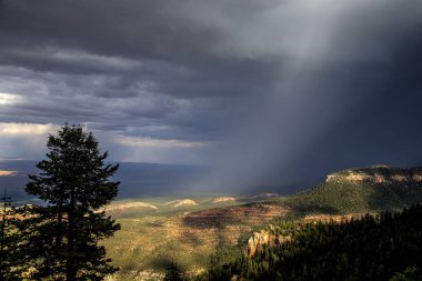 Kuzey Kıyısı Fırtınaları