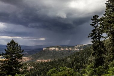 Kuzey Kıyısı Fırtınaları