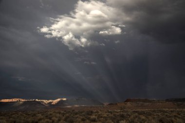 Utah Fırtınalar