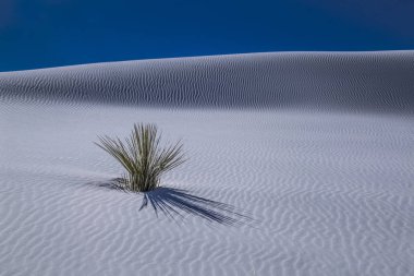 White Sands Ulusal Anıtı