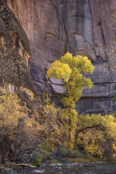 Zion sonbahar renkleri