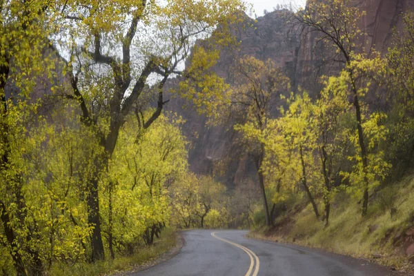 Zion canyon herbst — Stockfoto