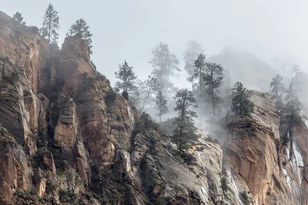 Fırtınalı Zion Milli Parkı
