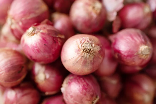 Red Shallot Onion Herb Spice Food Ingredient — Stock Photo, Image