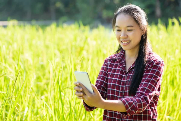 유기농 필드에 관리를 스마트 전화를 아시아 스마트 — 스톡 사진