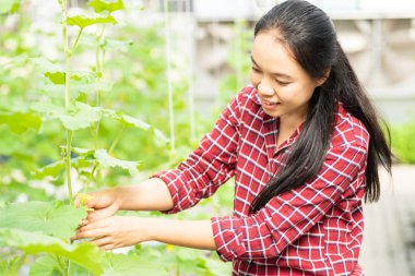 Kavun gruptaki kavun çiçek pollinating Asyalı kadın çiftçi