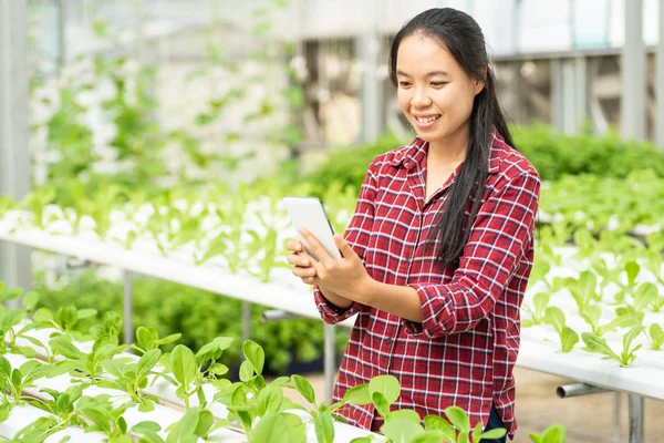 아시아 농장에서 스마트폰을 — 스톡 사진