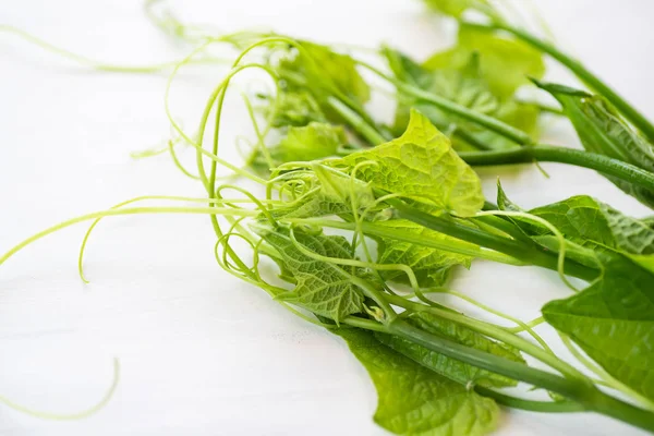 Fresh Chayote Leaf White Table Organic Vegetables — Stock Photo, Image