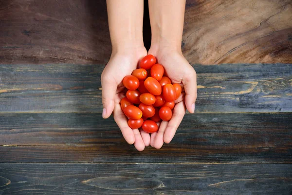 Свіжі вишневі помідори тримаються вручну — стокове фото