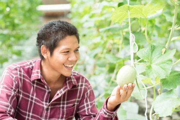 멜론 농장에서 행복 한 아시아 농부 — 스톡 사진