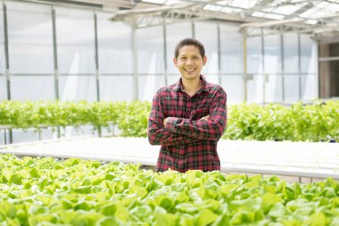 Hydroponics sebze çiftliğinde Asyalı çiftçi