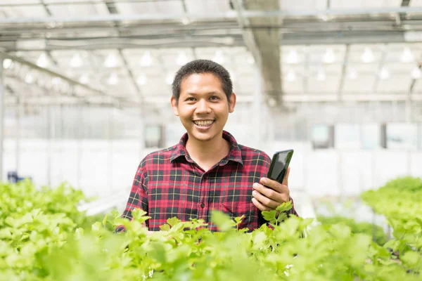 수경 야채 농장에서 스마트 폰을 사용하는 아시아 농부 — 스톡 사진