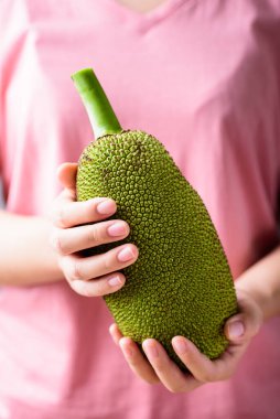 El ele tutuşan genç meyveler, tropik meyveler.