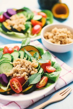 Sebzeli salata kinoası tohumu (marul, salatalık, domates, balkabağı, tatlı patates ve fesleğen yaprağı), sağlıklı vejetaryen yemeği