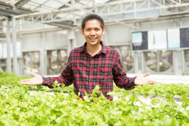 Hidroponik sebze çiftliğindeki Asyalı çiftçinin portresi