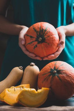 Sonbahar mevsiminde portakal kabağı ve balkabağı hasadı.