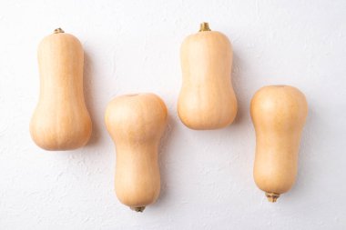 Beyaz arka planda taze tereyağlı balkabağı, sonbahar mevsiminde sebze, yiyecek malzemesi.