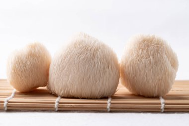 Aslan mantarı ya da beyaz arka planda Yamabushitake mantarı.