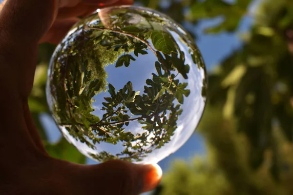 Fotografar Através Lensball — Fotografia de Stock