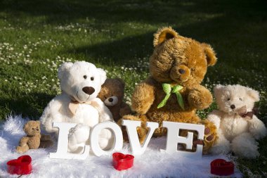 Bayram severler, çayır çiçek ve papatyalar, peluş ayılar için sevgi dolu